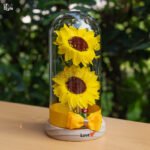 Lampara Girasol Cupula