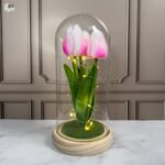 Lampara Tulipan Cupula - Imagen 4