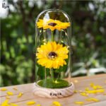 Lampara Girasol Cupula - Imagen 4