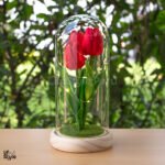 Lampara Tulipan Cupula - Imagen 3