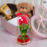 Box Premium Tulipan Rojo