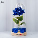 Lámpara Rosa Azul Cupula
