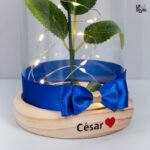 Lámpara Rosa Azul Cupula - Imagen 2