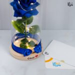 Lámpara Rosa Azul Cupula - Imagen 3